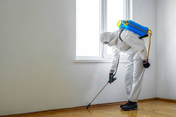 Best Flea Control Services  in Grantville, GA