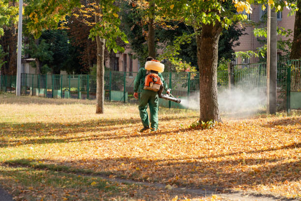 Best Cockroach Control Services  in Grantville, GA
