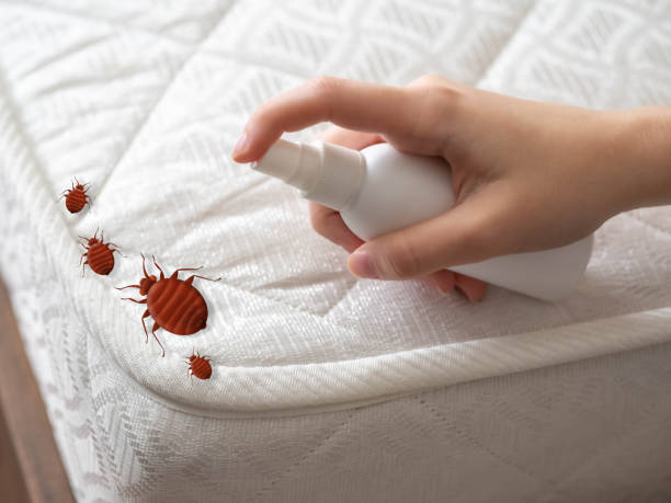 Best Commercial Pest Control Services  in Grantville, GA